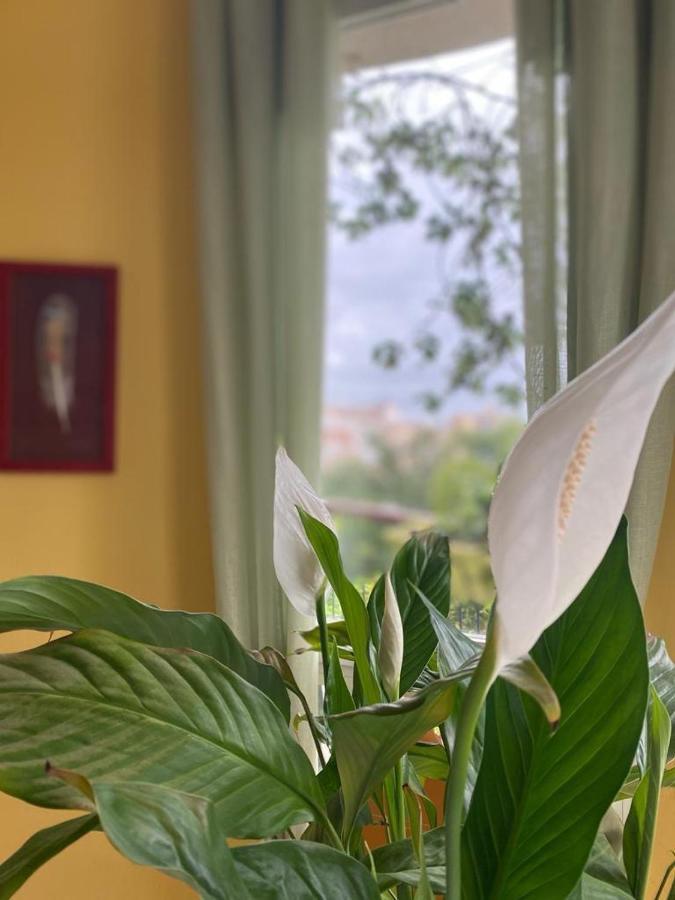 Art Apartment Julia Calpe Exterior photo
